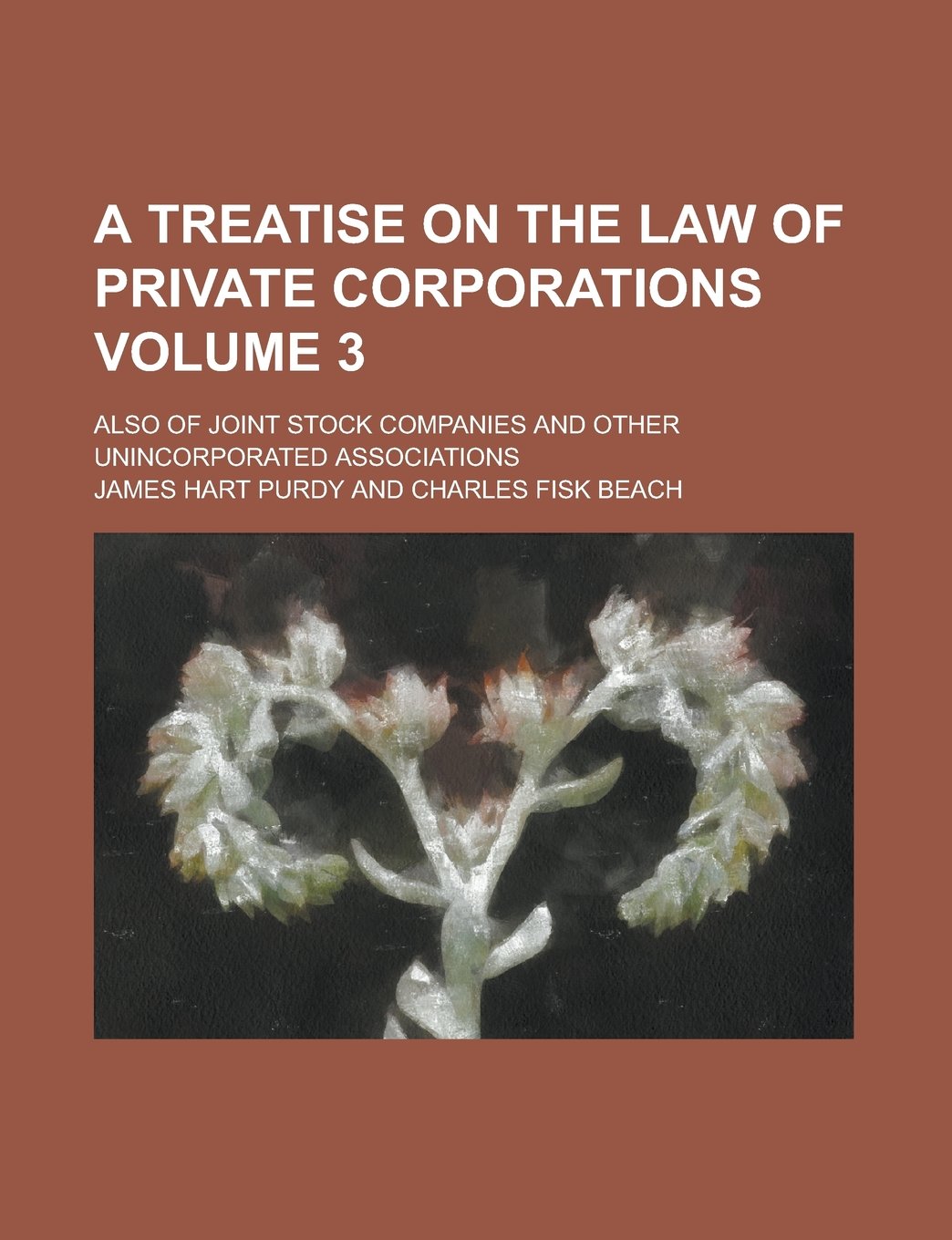 A Treatise on the Law of Private Corporations; Also of Joint Stock Companies and Other Unincorporated Associations Volume 3 Politics & History