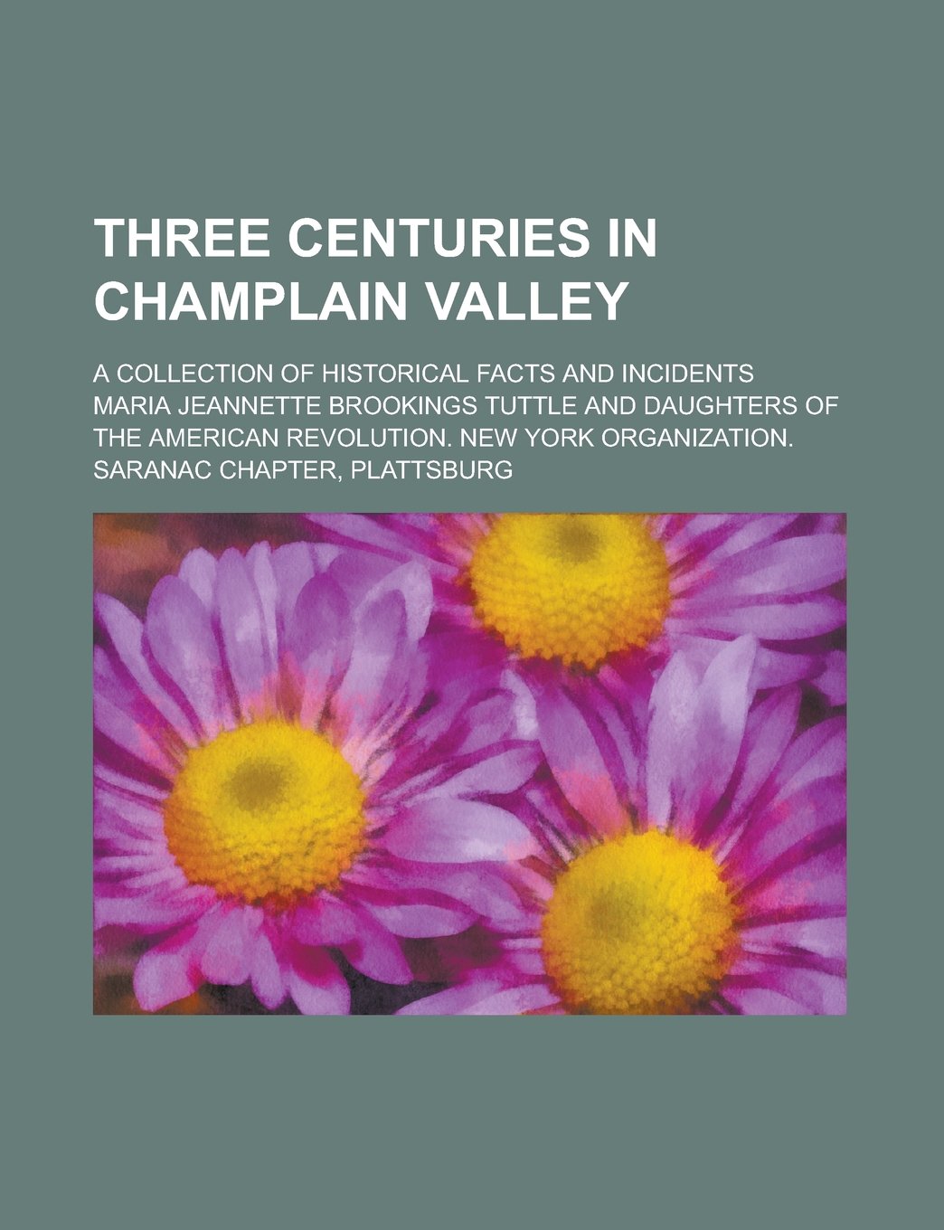 Three Centuries in Champlain Valley; A Collection of Historical Facts and Incidents Politics & History