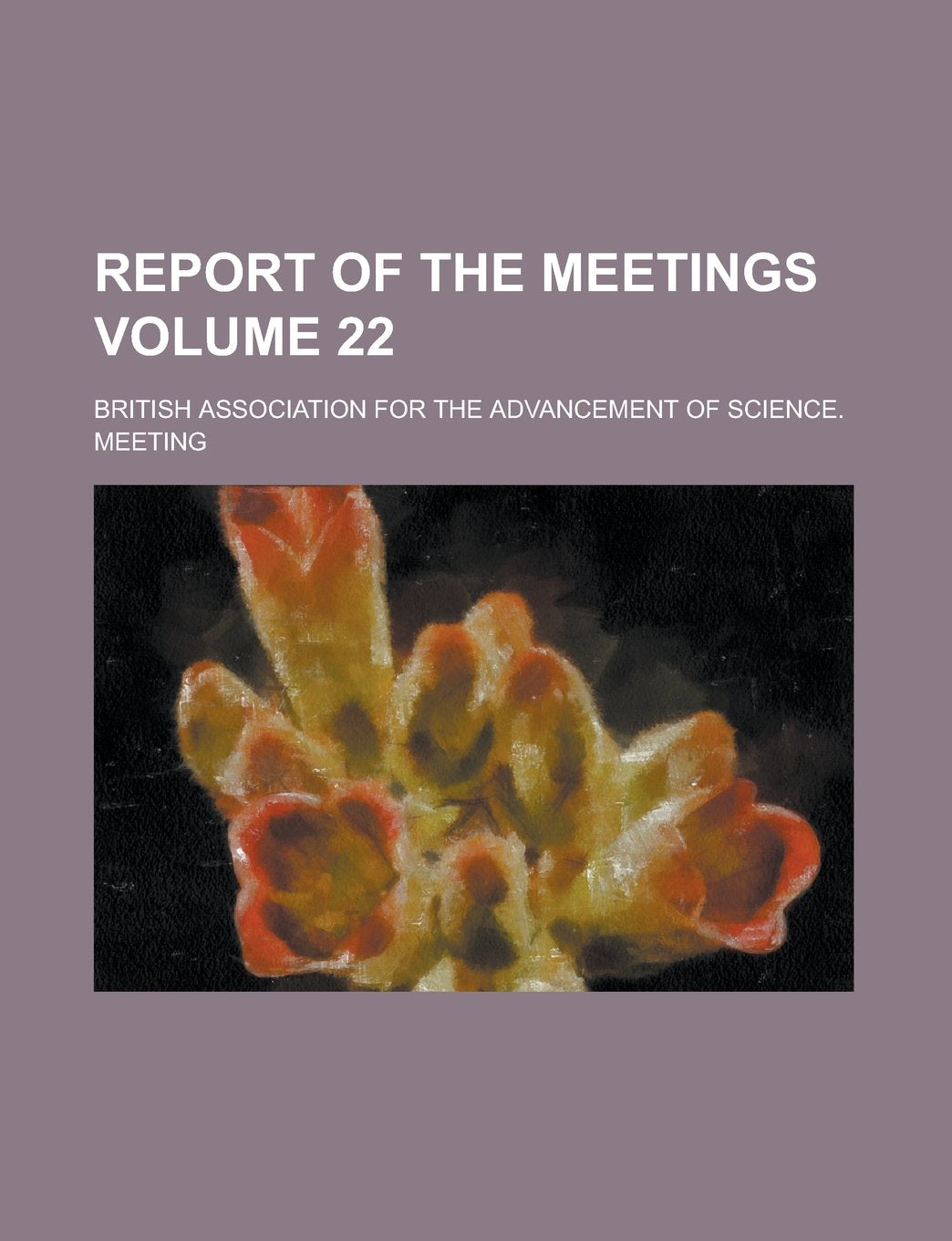 Report of the Meetings Volume 22 Books