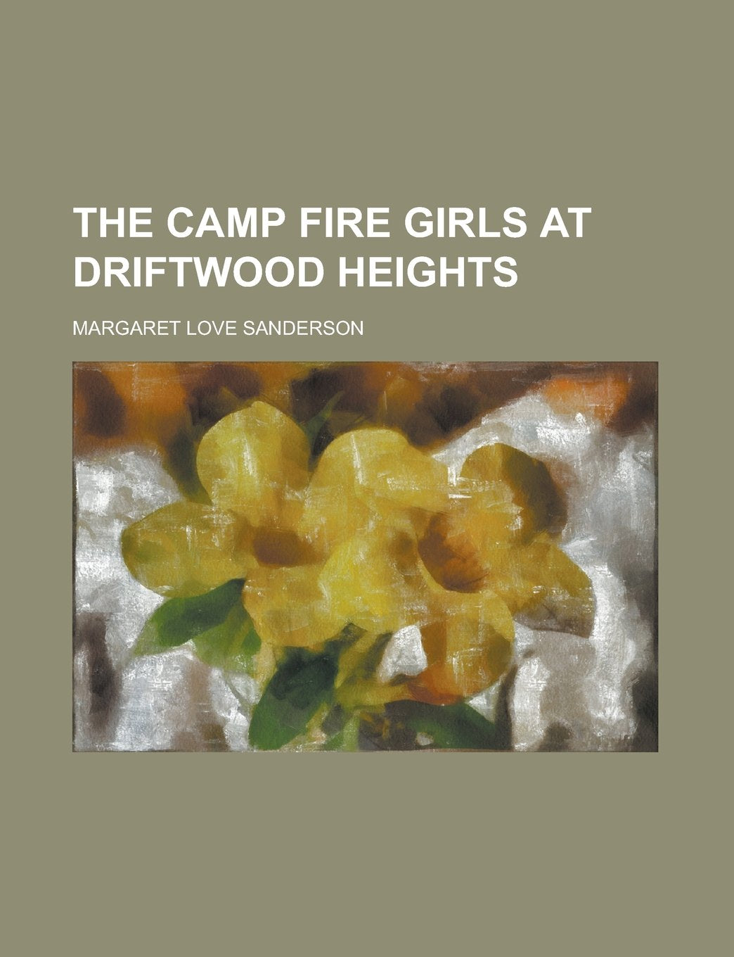 The Camp Fire girls at Driftwood Heights Books