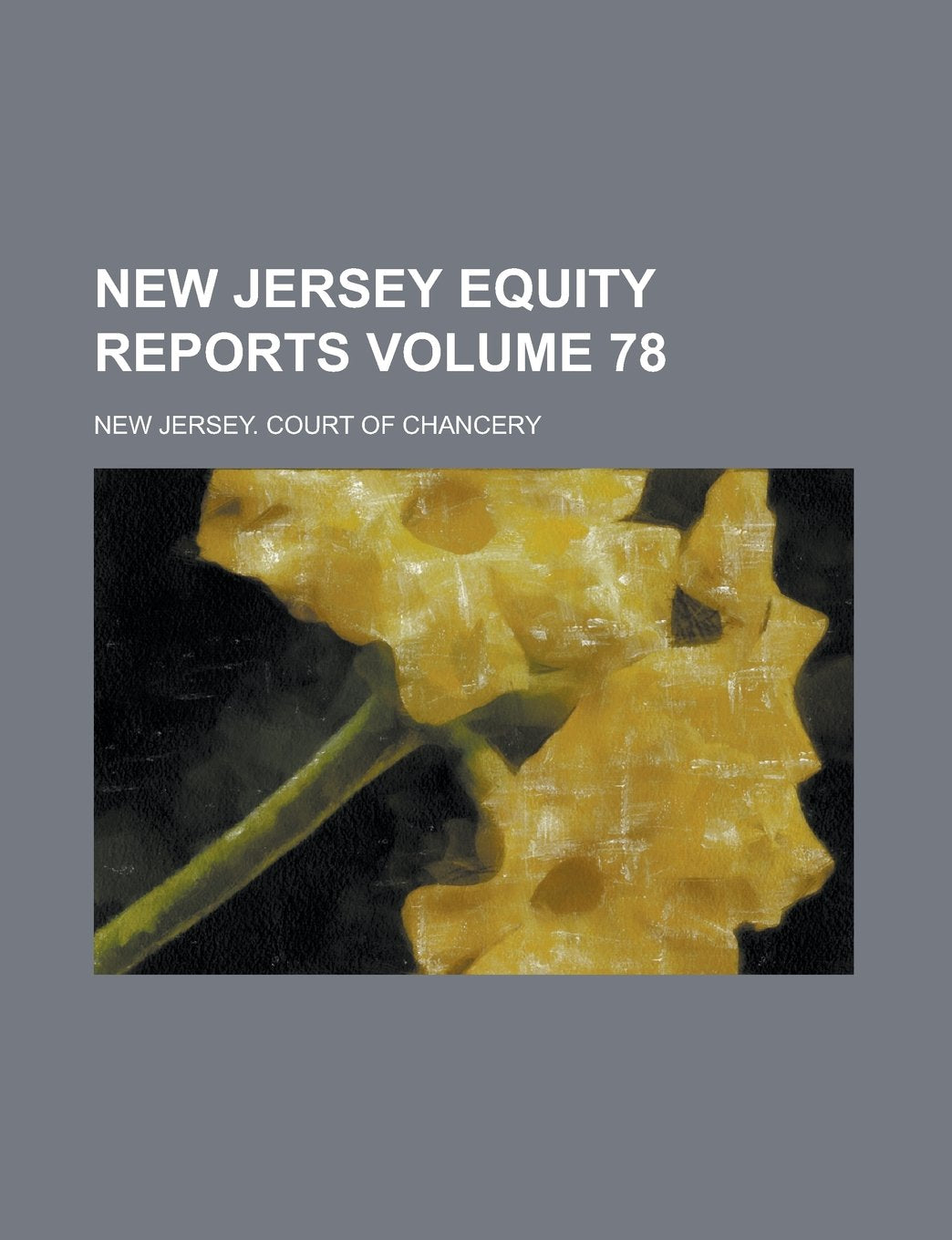 New Jersey Equity Reports Volume 78 Books
