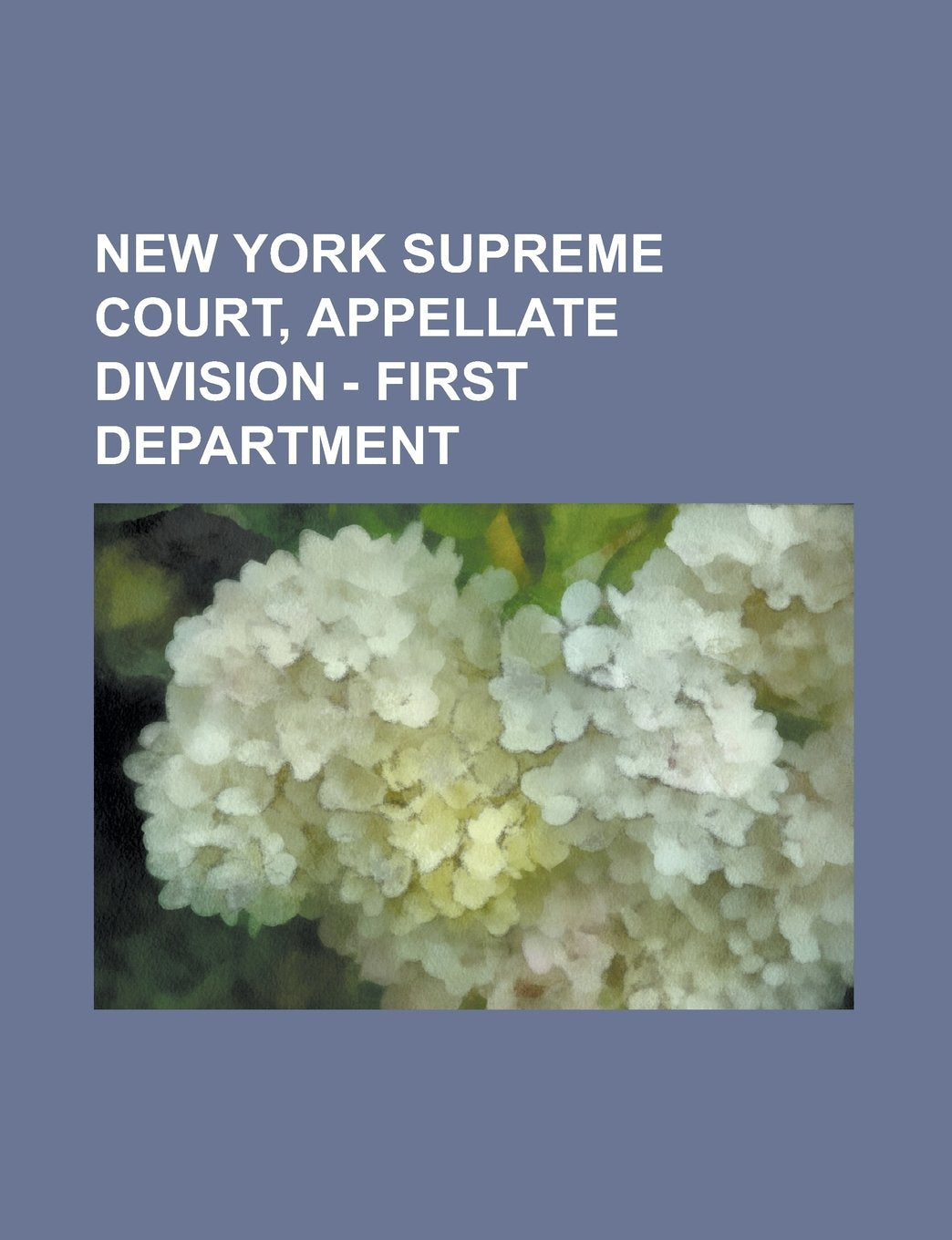 New York Supreme Court, Appellate Division - First Department Books