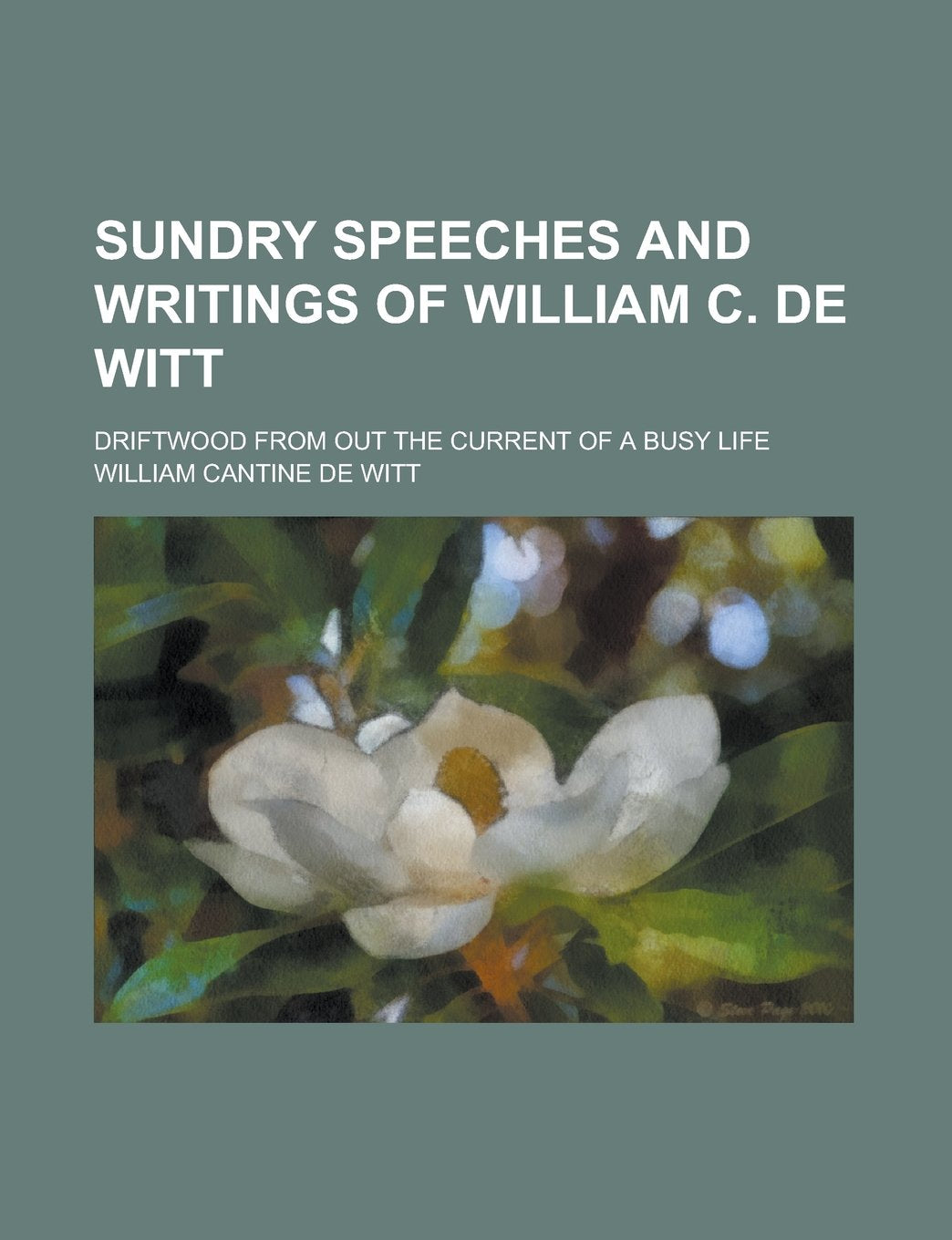 Sundry speeches and writings of William C. De Witt; driftwood from out the current of a busy life Books