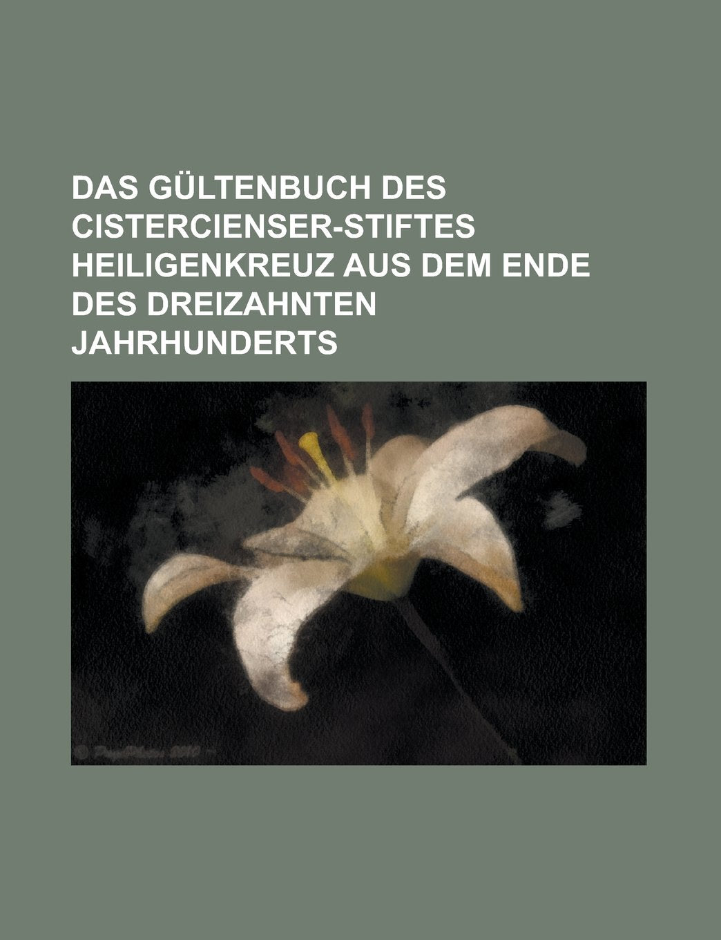 Das Gültenbuch des Cistercienser-Stiftes Heiligenkreuz aus dem Ende des dreizahnten Jahrhunderts Books