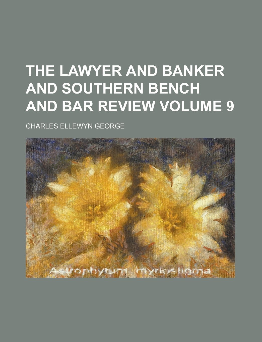 The Lawyer and Banker and Southern Bench and Bar Review Volume 9 book