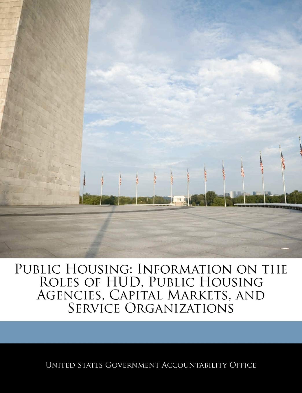 Public Housing: Information on the Roles of HUD, Public Housing Agencies, Capital Markets, and Service Organizations Politics & History