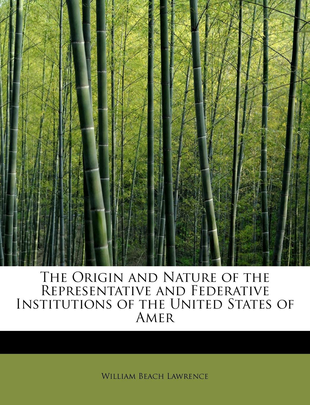 The Origin and Nature of the Representative and Federative Institutions of the United States of Amer Law