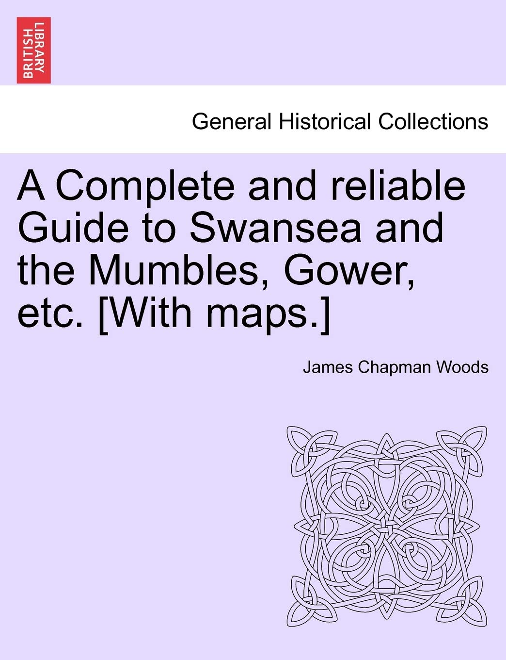 A Complete and Reliable Guide to Swansea and the Mumbles, Gower, Etc. Politics & History