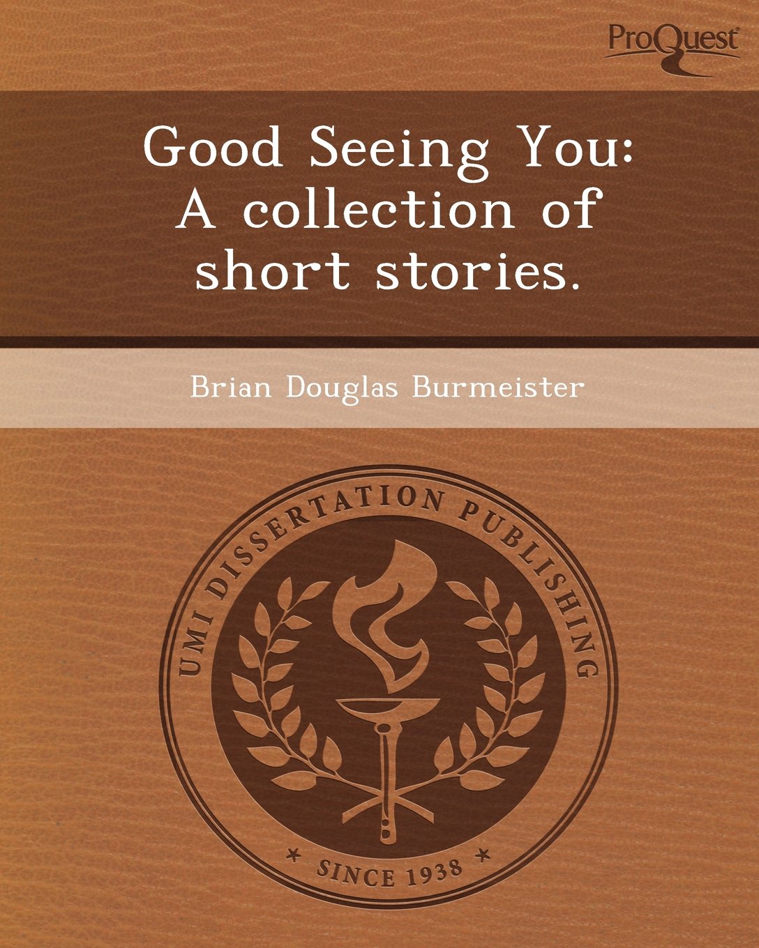 Good Seeing You: A Collection of Short Stories Contemporary literature