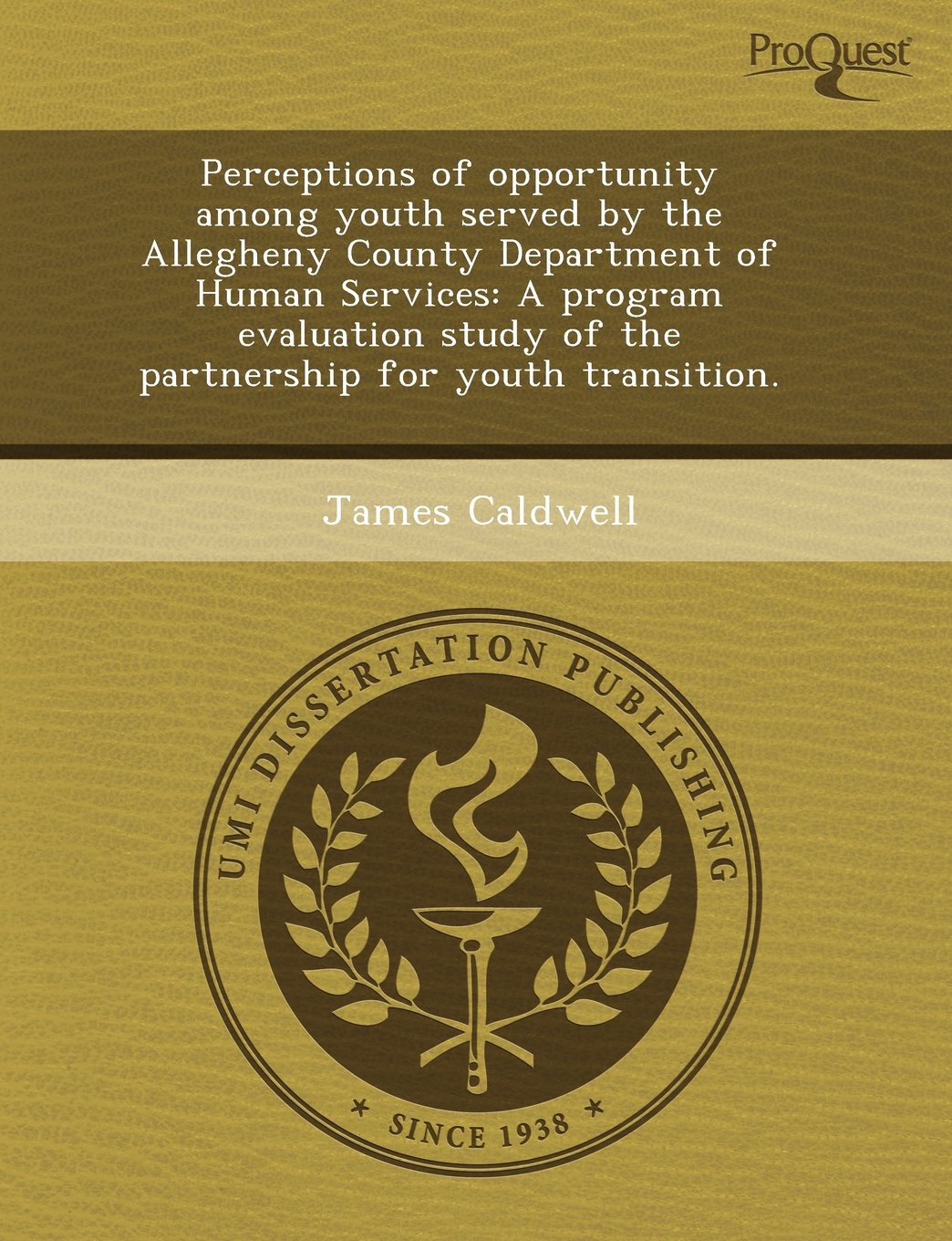 Perceptions of Opportunity Among Youth Served by the Allegheny County Department of Human Services: A Program Evaluation Study of the Partnership for Social Sciences