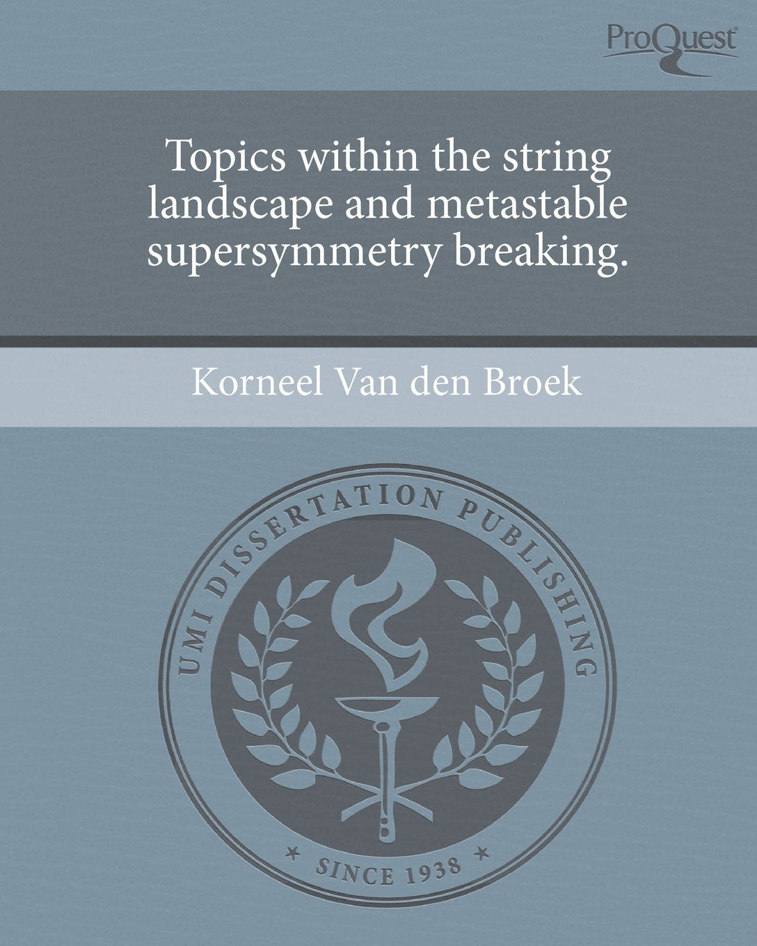 Topics Within the String Landscape and Metastable Supersymmetry Breaking Natural Sciences