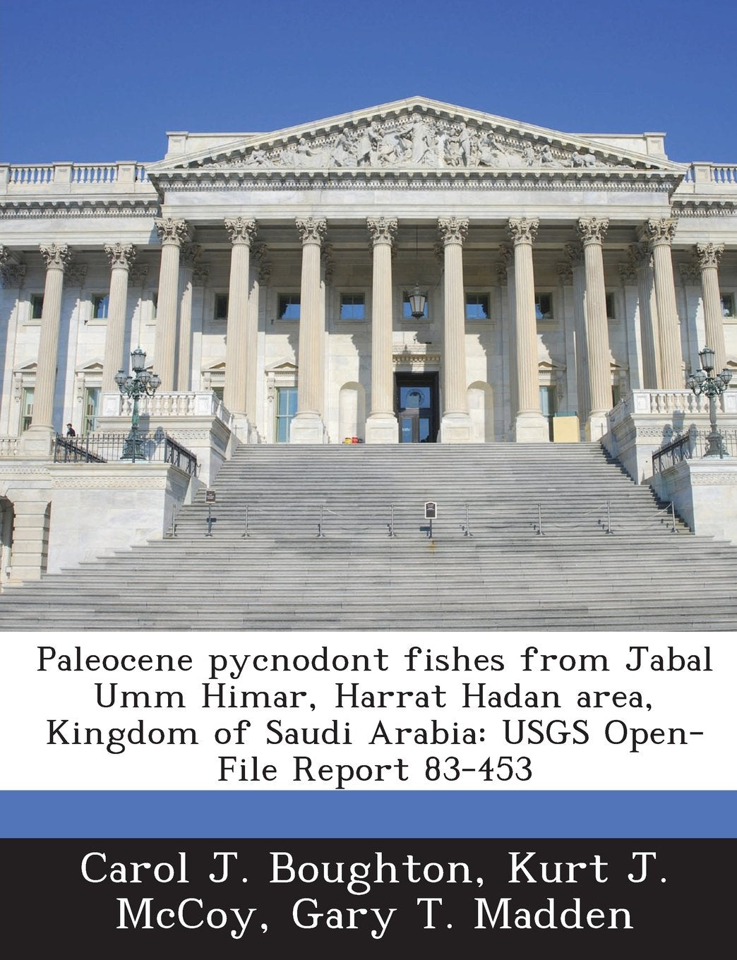 Paleocene pycnodont fishes from Jabal Umm Himar, Harrat Hadan area, Kingdom of Saudi Arabia: USGS Open-File Report 83-453 Politics & History