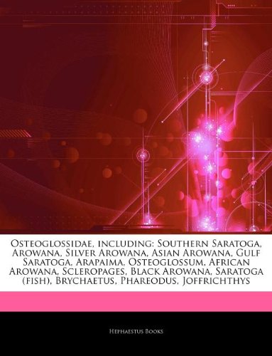Articles on Osteoglossidae, Including: Southern Saratoga, Arowana, Silver Arowana, Asian Arowana, Gulf Saratoga, Arapaima, Osteoglossum, African Arowa book
