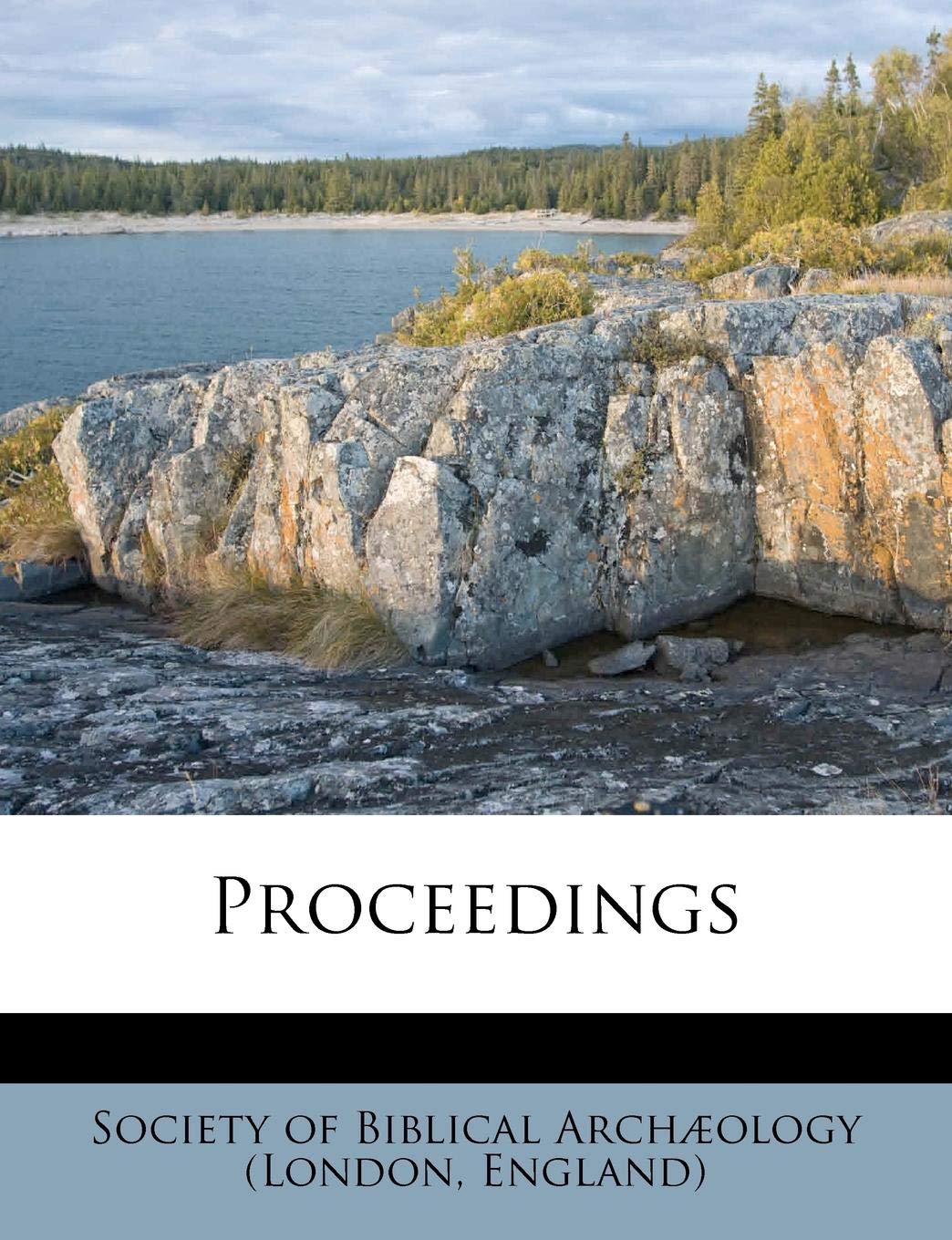 Proceedings Politics & History