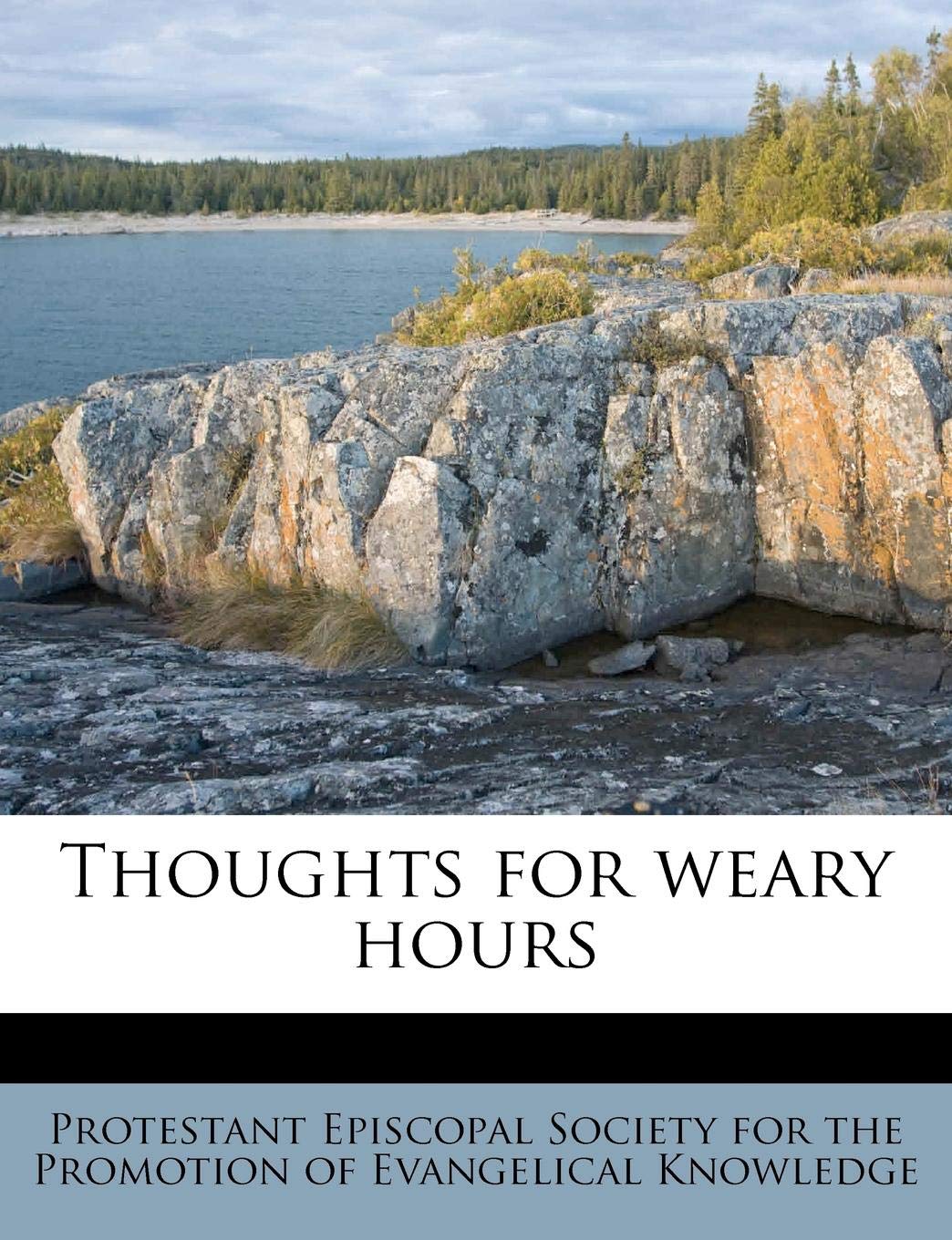 Thoughts for Weary Hours Politics & History