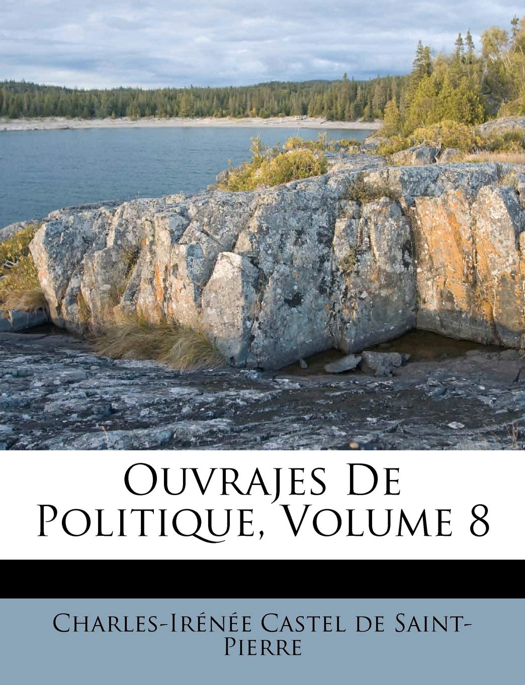 Ouvrajes De Politique, Volume 8 book