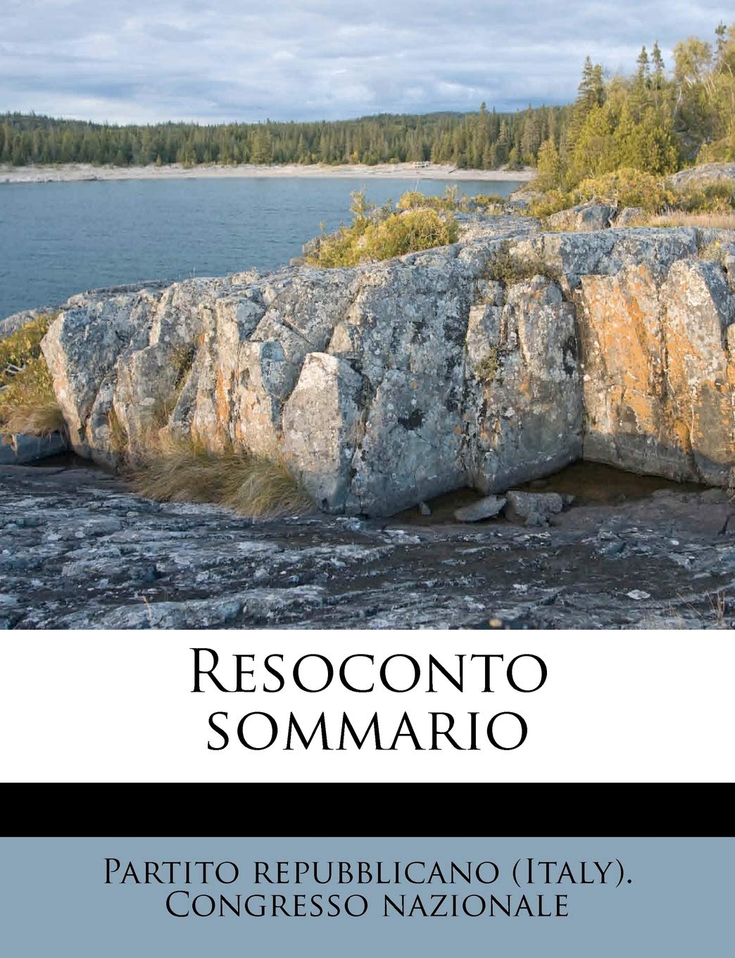 Resoconto Sommario Politics & History
