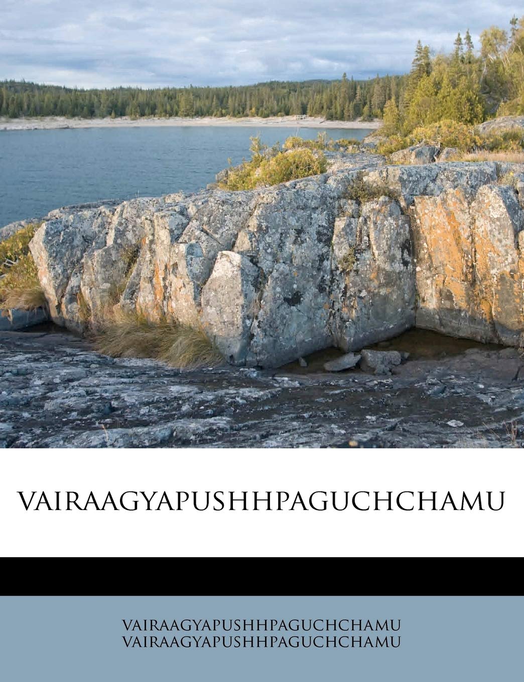 Vairaagyapushhpaguchchamu Politics & History