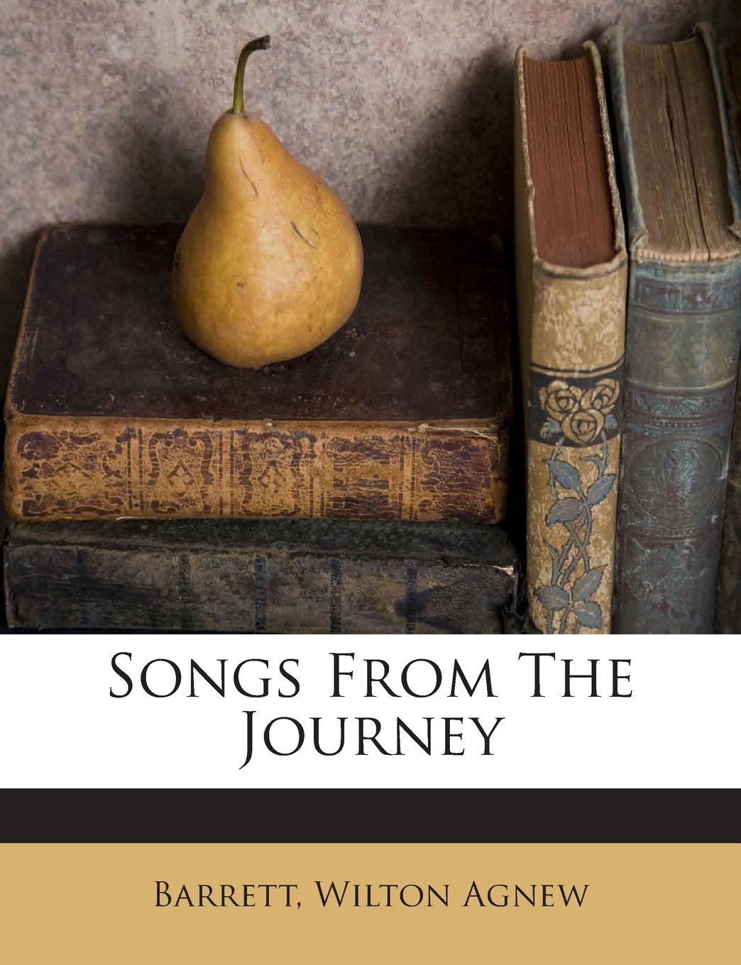Songs from the Journey Politics & History