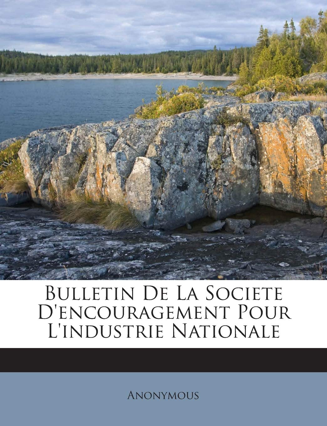 Bulletin De La Societe D'encouragement Pour L'industrie Nationale book