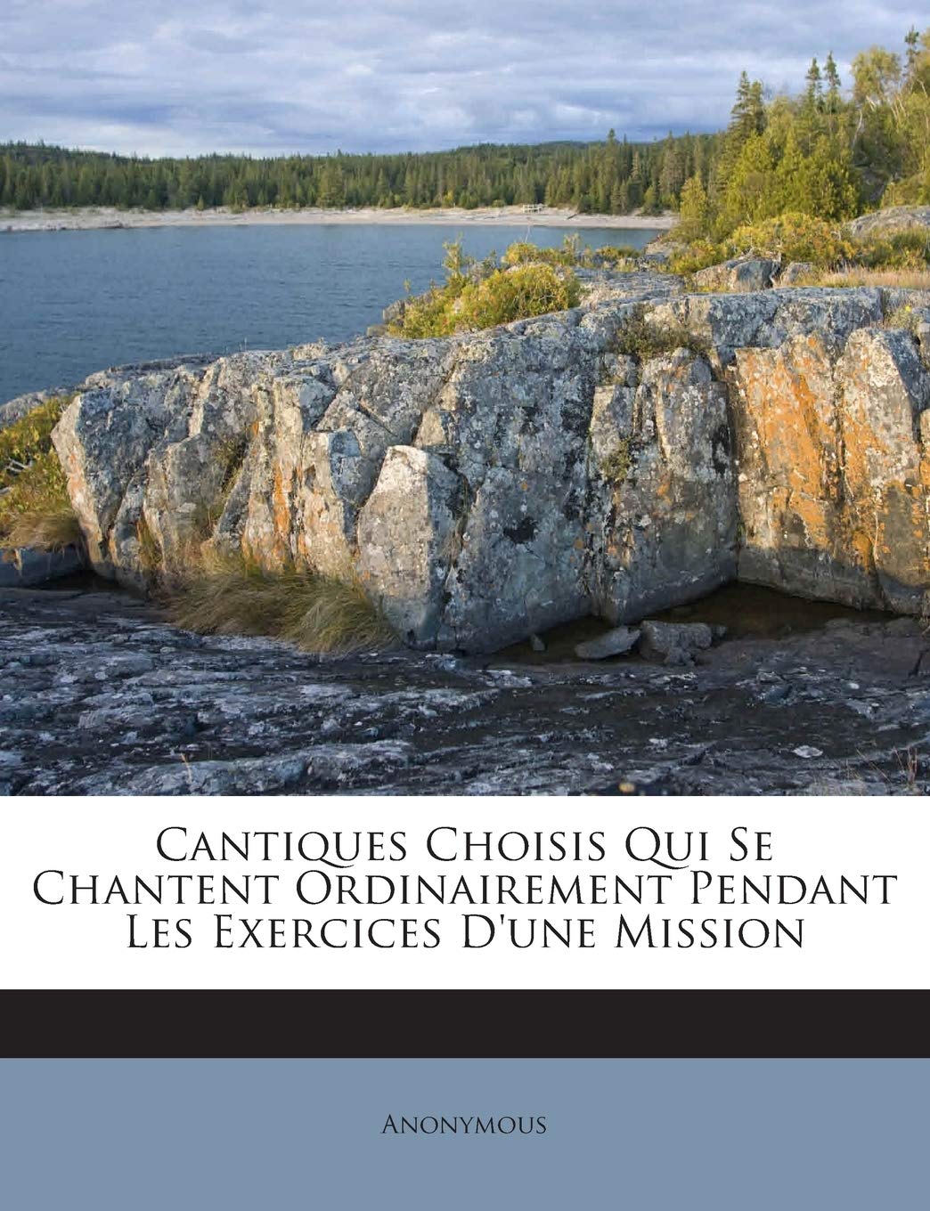 Cantiques Choisis Qui Se Chantent Ordinairement Pendant Les Exercices D'une Mission book