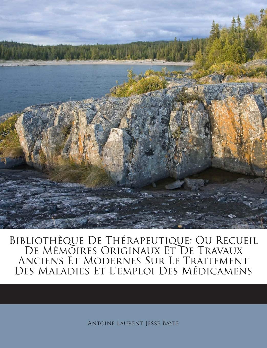 Bibliothèque De Thérapeutique: Ou Recueil De Mémoires Originaux Et De Travaux Anciens Et Modernes Sur Le Traitement Des Maladies Et L'emploi Des Médicamens book
