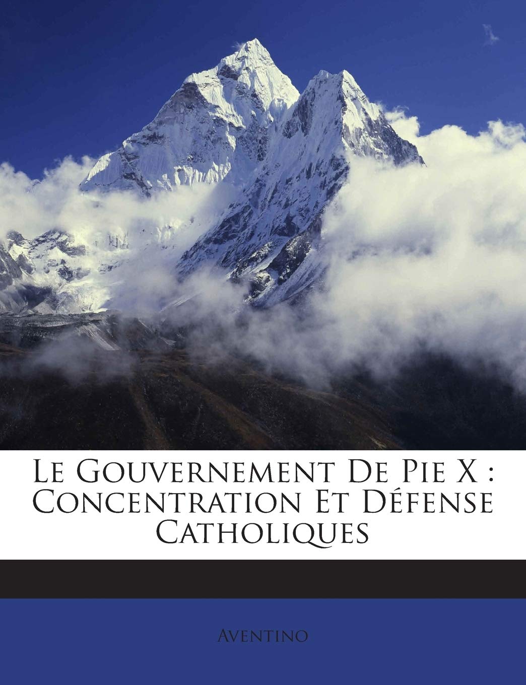 Le Gouvernement De Pie X: Concentration Et Défense Catholiques book
