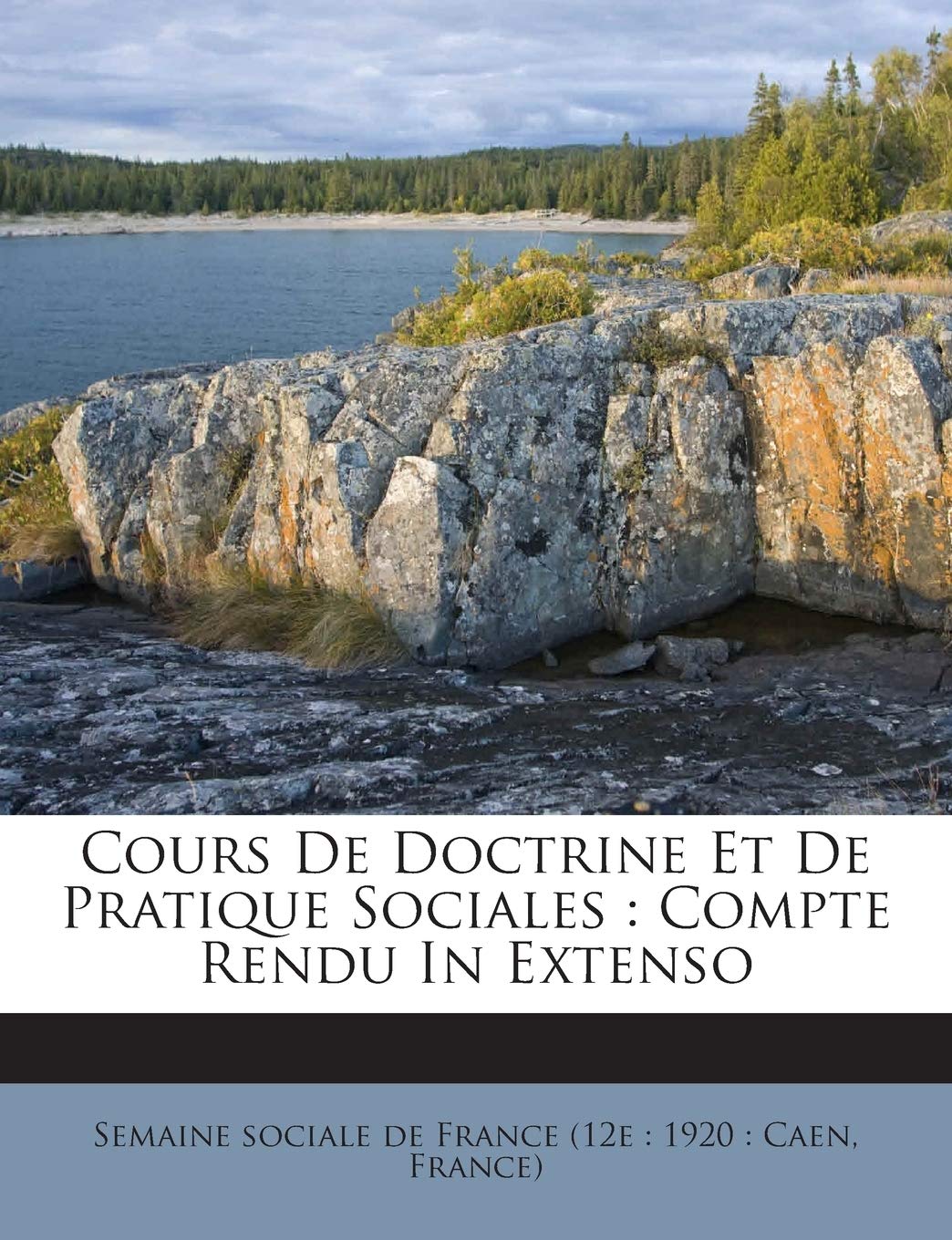 Cours De Doctrine Et De Pratique Sociales: Compte Rendu In Extenso book