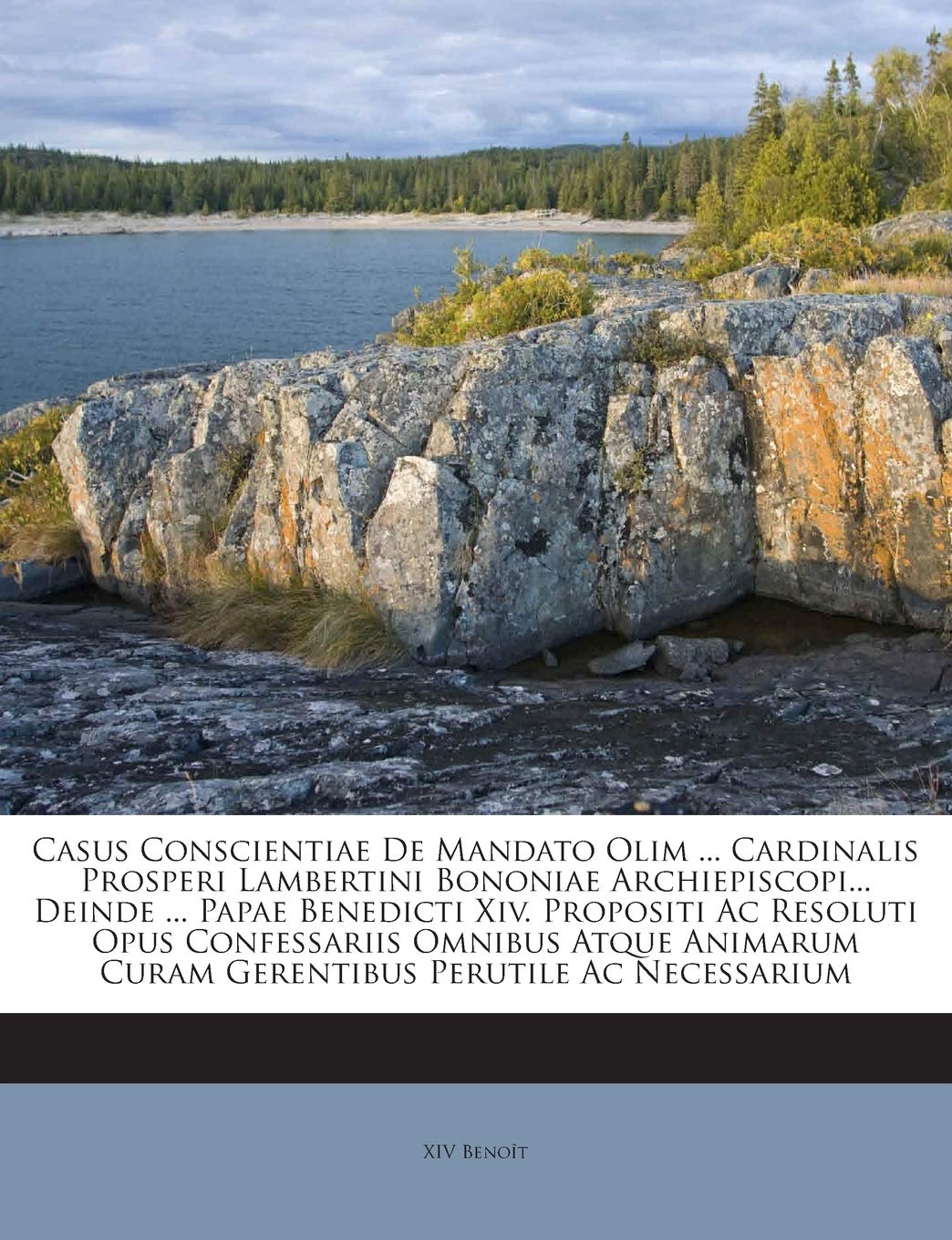 Casus Conscientiae de Mandato Olim ... Cardinalis Prosperi Lambertini Bononiae Archiepiscopi... Deinde ... Papae Benedicti XIV. Propositi AC Resoluti ... Curam Gerentibus Perutile AC Necessarium book