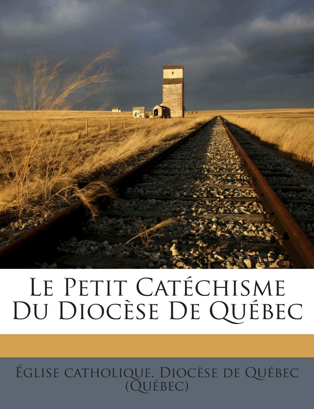 Le Petit Catchisme Du Diocse De Qubec book
