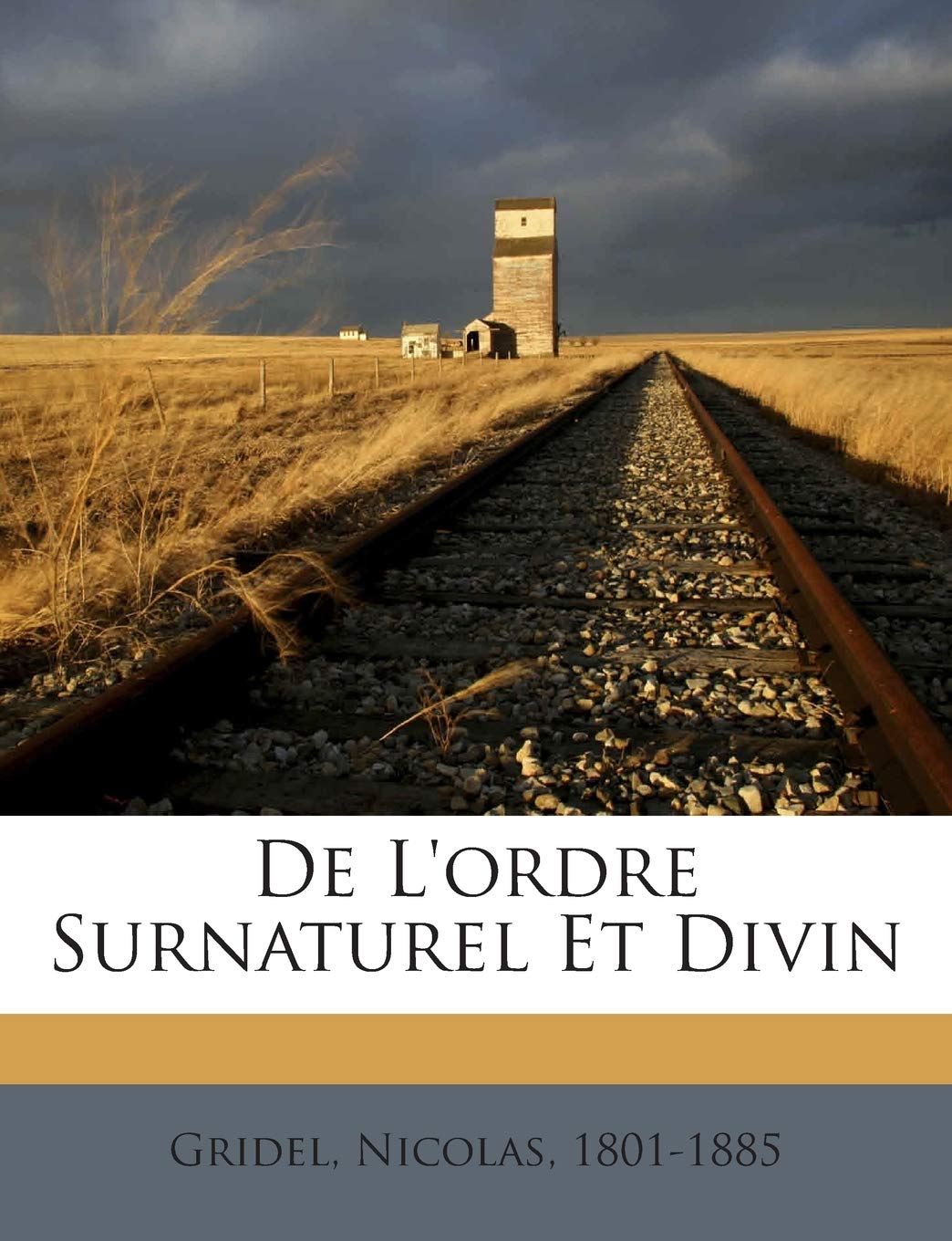 De L'ordre Surnaturel Et Divin book
