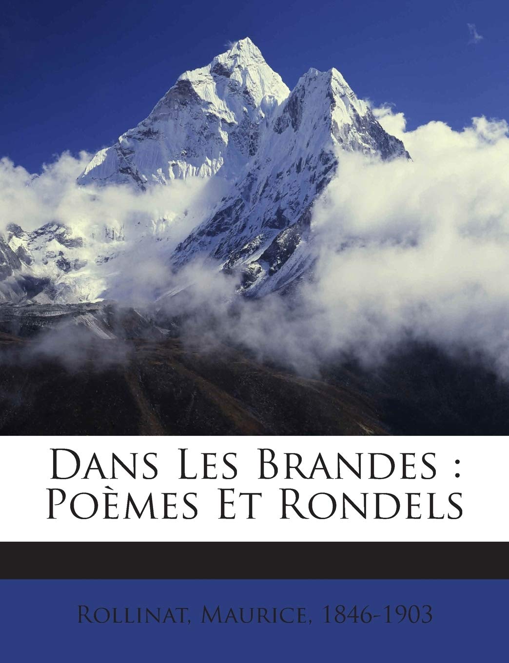 Dans Les Brandes: Poèmes Et Rondels book