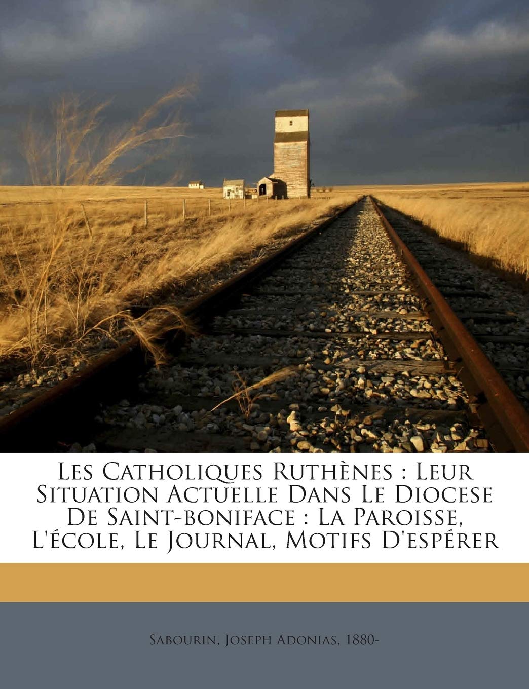 Les Catholiques Ruthenes: Leur Situation Actuelle Dans Le Diocese de Saint-Boniface: La Paroisse, L'Ecole, Le Journal, Motifs D'Esperer book