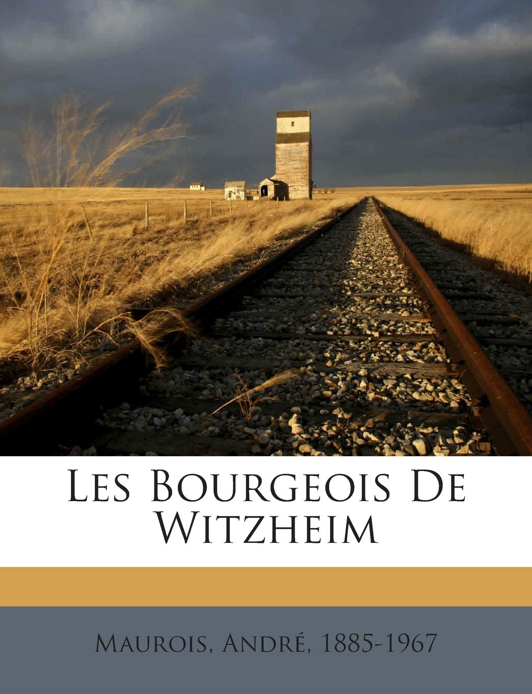 Les Bourgeois De Witzheim book