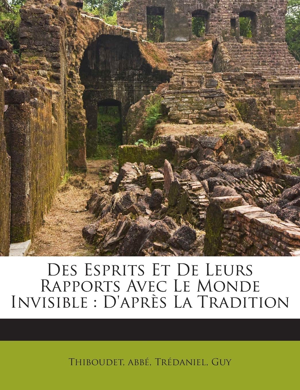 Des Esprits Et de Leurs Rapports Avec Le Monde Invisible: D'Après La Tradition book