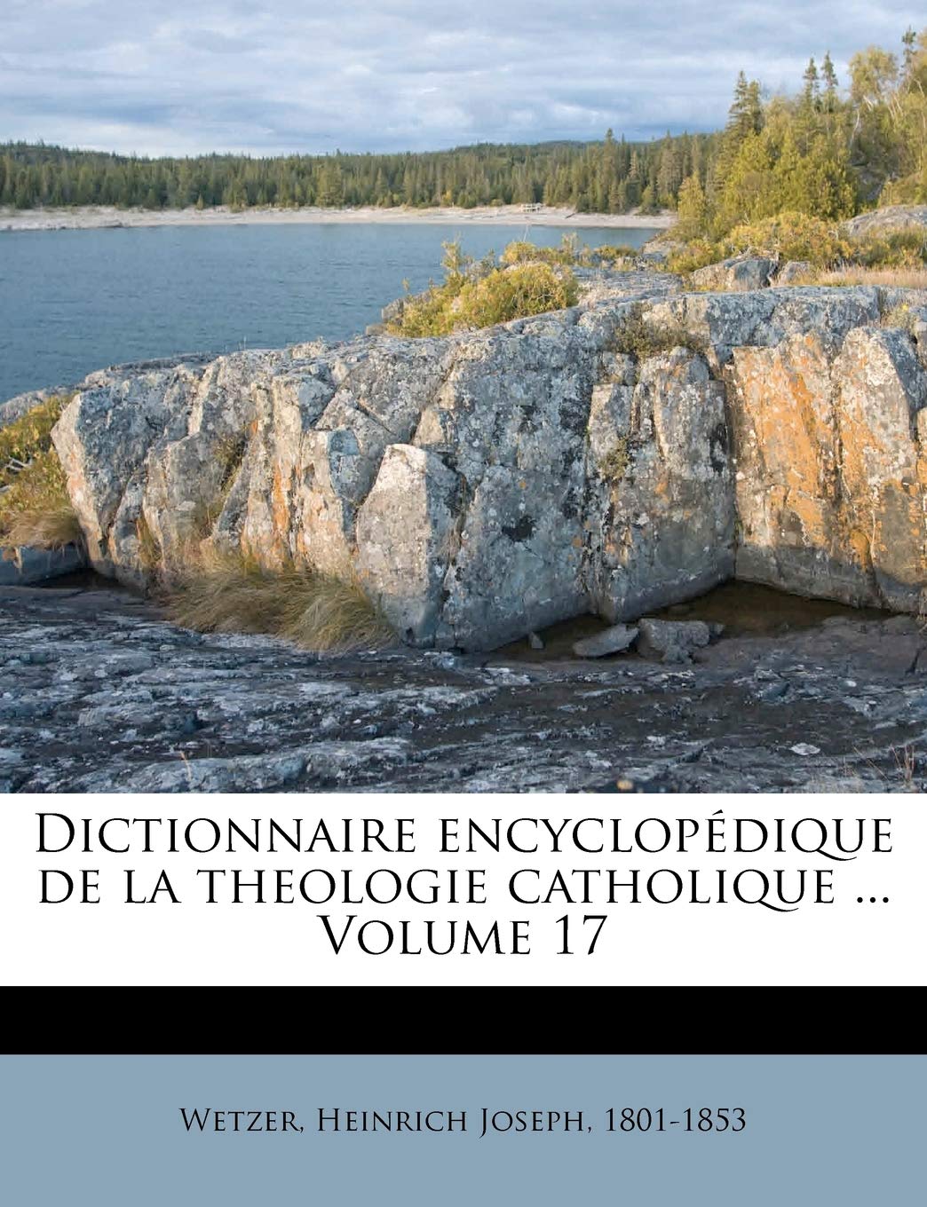 Dictionnaire Encyclopedique de La Theologie Catholique ... Volume 17 book