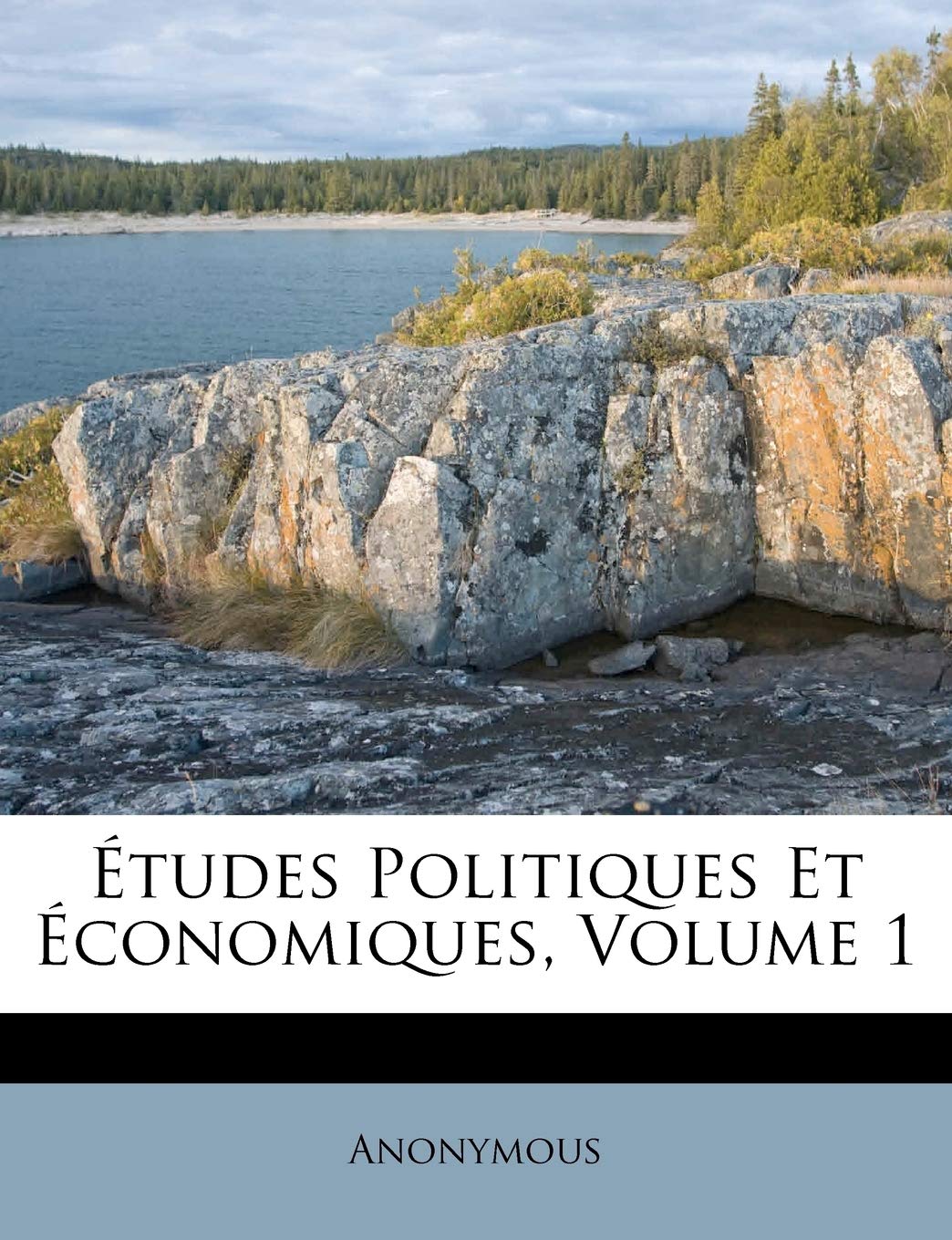 Études Politiques Et Économiques, Volume 1 book