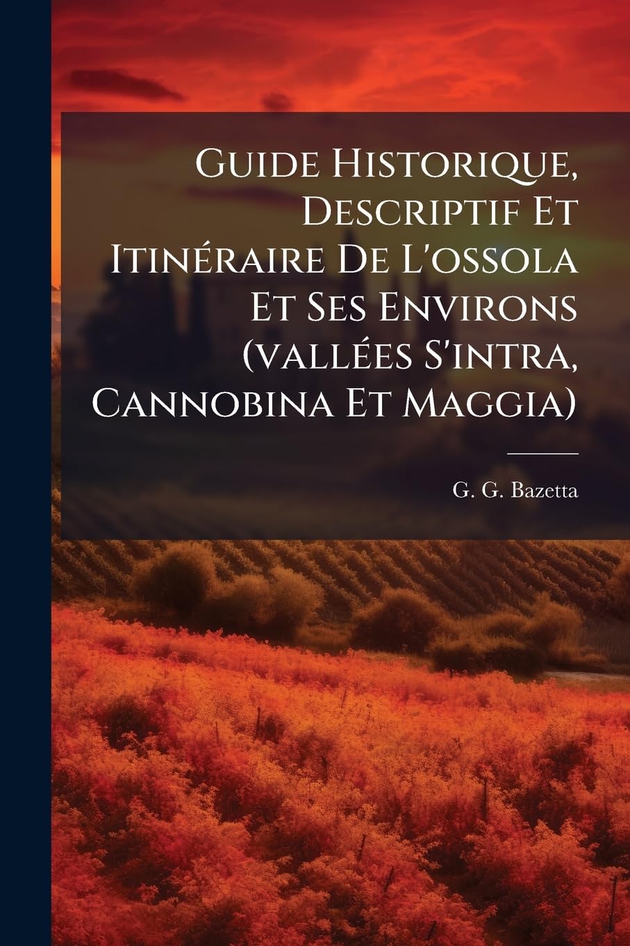 Guide Historique, Descriptif Et Itinéraire De L'ossola Et Ses Environs (vallées S'intra, Cannobina Et Maggia) book