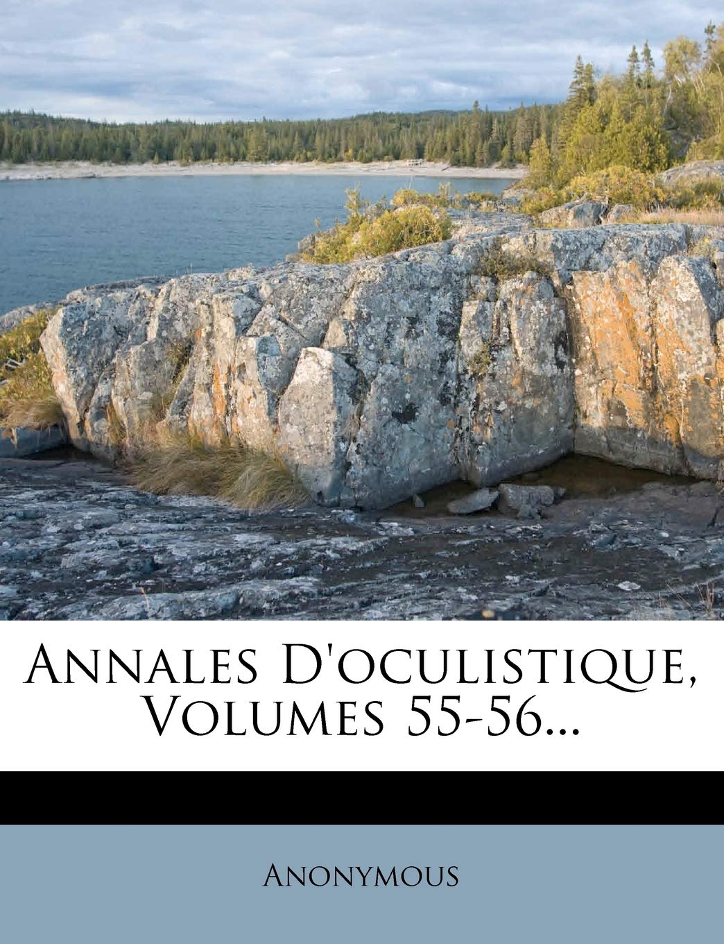 Annales d'Oculistique, Volumes 55-56... book