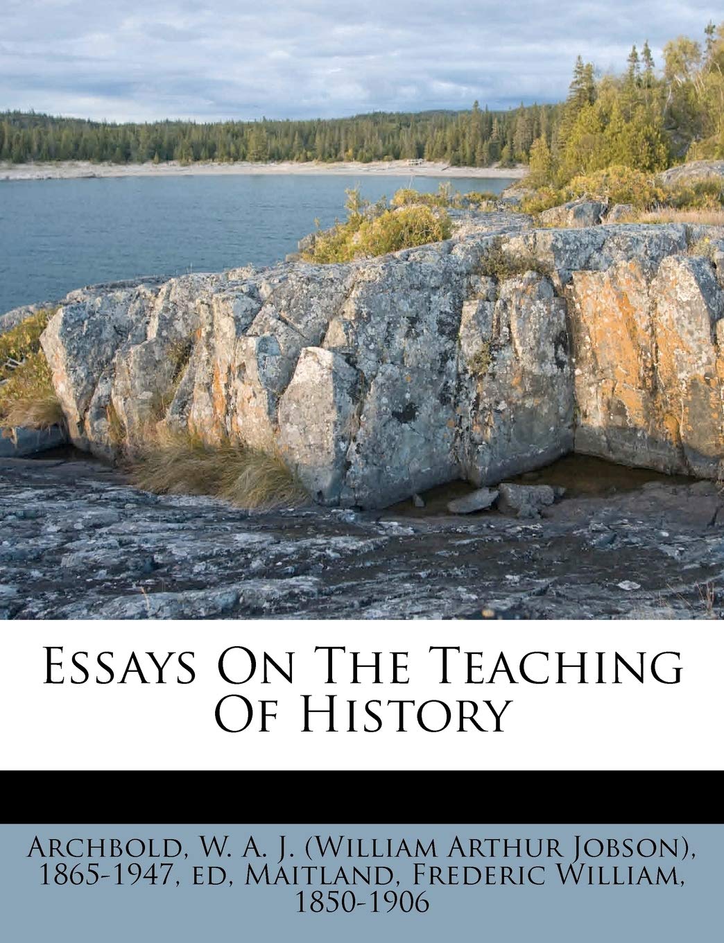 Essays on the Teaching of History Politics & History