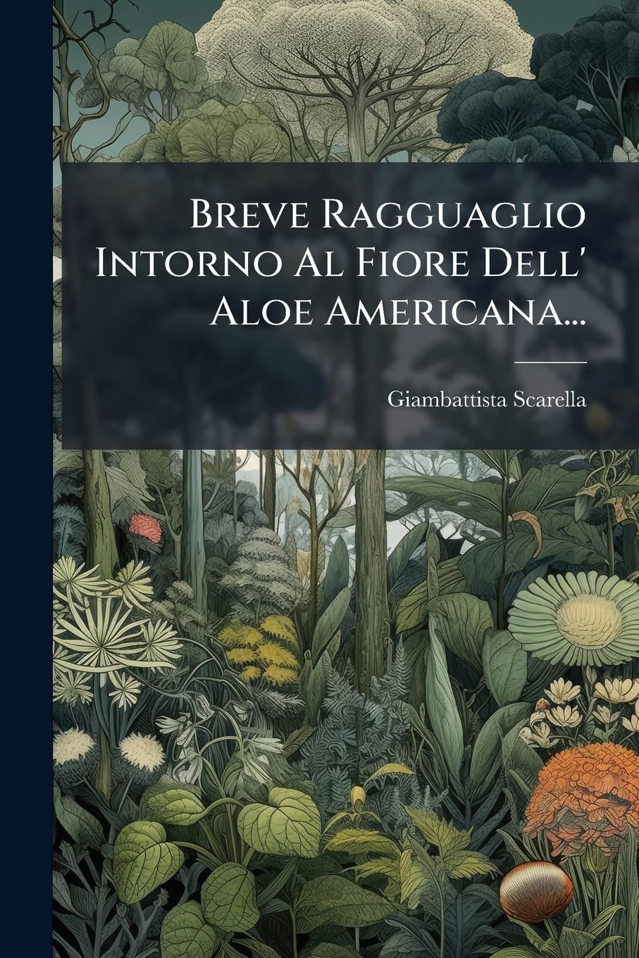 Breve Ragguaglio Intorno Al Fiore Dell' Aloe Americana... Mathematics