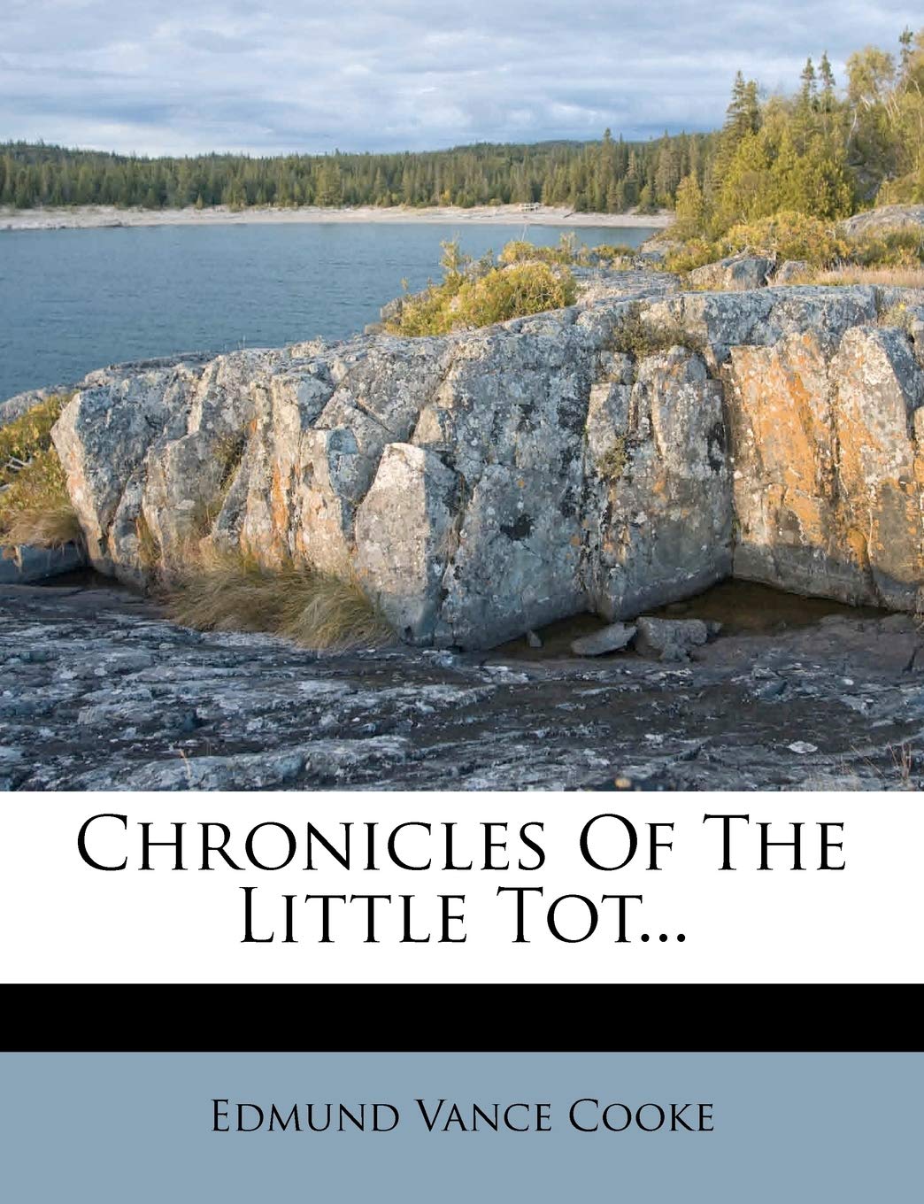 Chronicles of the Little Tot... Politics & History