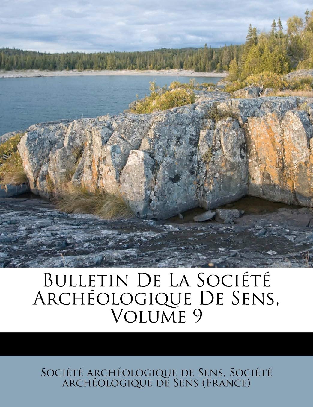 Bulletin de la Société Archéologique de Sens, Volume 9 book