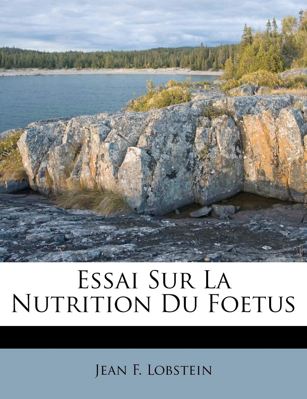 Essai Sur La Nutrition Du Foetus book