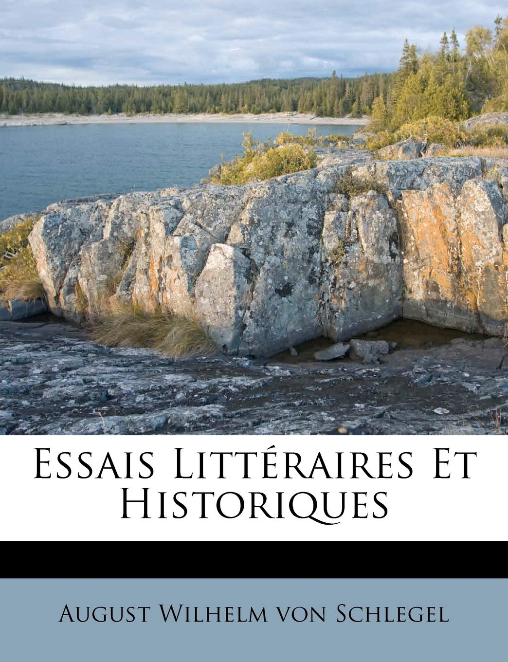 Essais Litt Raires Et Historiques book