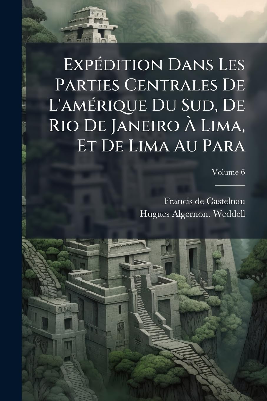 Expédition Dans Les Parties Centrales de l'Amérique Du Sud, de Rio de Janeiro À Lima, Et de Lima Au Para: Exécuté Par Ordre Du Gouvernement Français ... 1843 À 1847: Histoire Du Voyage, Volume 6 book