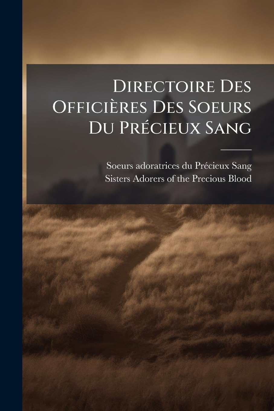Directoire Des Officières Des Soeurs Du Précieux Sang book
