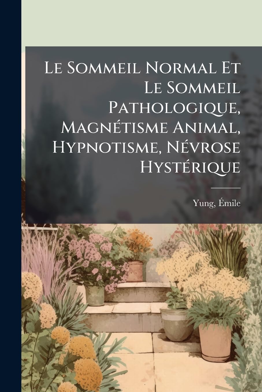 Le Sommeil Normal Et Le Sommeil Pathologique, Magnétisme Animal, Hypnotisme, Névrose Hystérique book