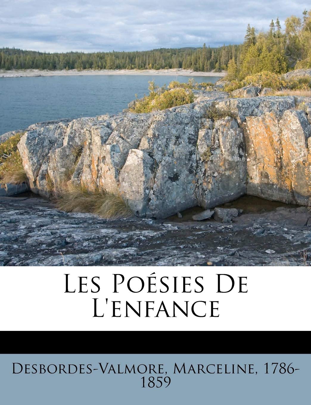 Les Poésies de l'Enfance book