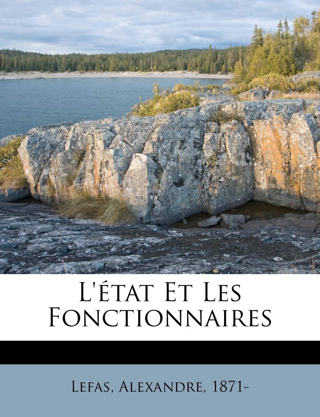 L'état Et Les Fonctionnaires book